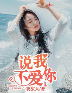 说我不爱你 说我不爱你