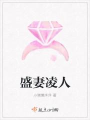 盛妻凌人 盛妻凌人