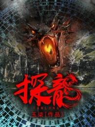 探龙 探龙